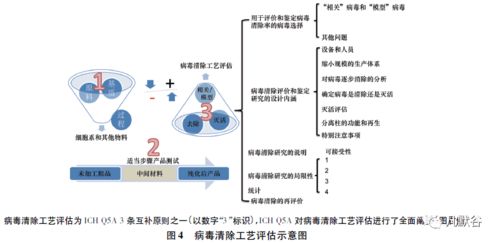 防微杜漸 生物制品病毒安全性控制的核心理念與實踐路徑
